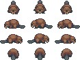 beaver_single_1.png
