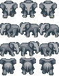 Elephant Calf
