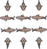 shark_full_brown_1.png